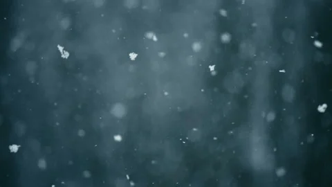 Snow falls at slow motion. Close up shot Stock Footage