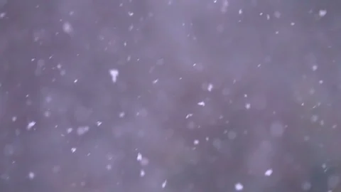 Snow falls in slow motion close up view Stock Footage 98645521