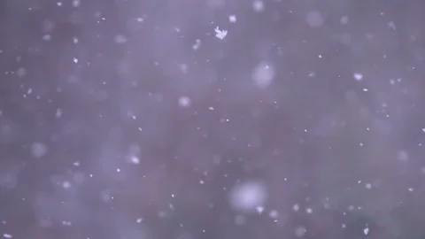 Snow falls in slow motion Stock-Footage 98645413