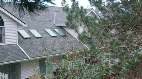 Snow falls slowly against the backdrop of a house and a cedar tree 11 Stock Footage 329324963