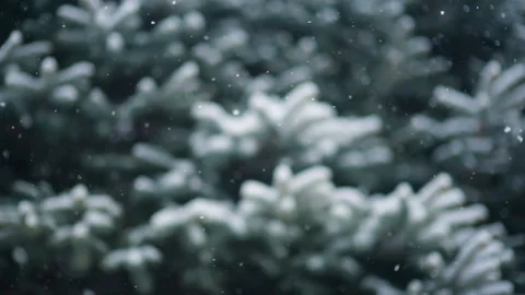 Snow falls slowly against the background of a Christmas tree or pine. Stock Footage 95494793