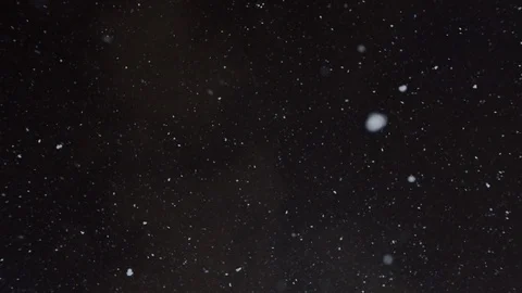 Snow falls slowly on camera in winter night Stock Footage 102041608