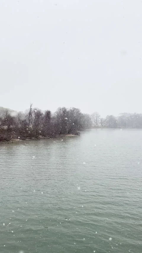 Snow falls slowly on quiet river lined with bare trees on this winter day Stockbeeldmateriaal 334802820