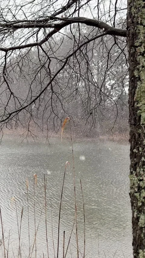 Snow falls slowly on quiet, still river surrounded by bare trees. Stockbeeldmateriaal 337579932