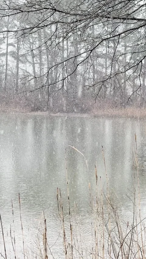 Snow falls slowly on quiet, still river surrounded by bare trees creating s.. Stockbeeldmateriaal 337580048