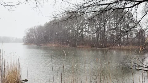 Snow Falls Slowly on waterfront winter scene Stockbeeldmateriaal 337579953