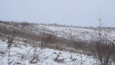 Snow falls, snow-covered fields, wooden fence Stock Footage 126915031