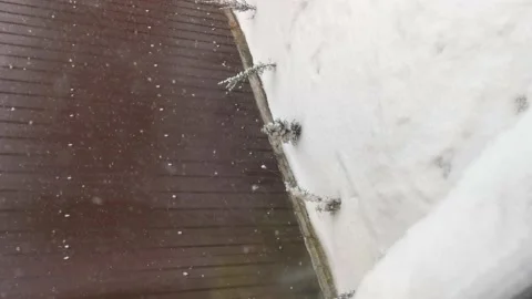 Snow falls through the window on the bushes. Video stock 164406553