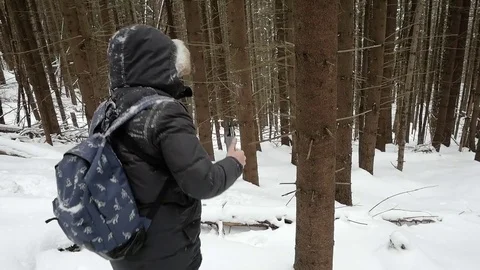 Snow falls from the tree Video stock 72822142