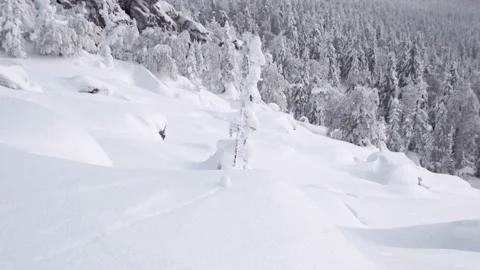 Snow falls on tree on hillside with rocky cliff Stock Footage 145889415