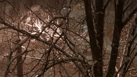 Snow falls on a tree at night lantern Stock Footage 146616011