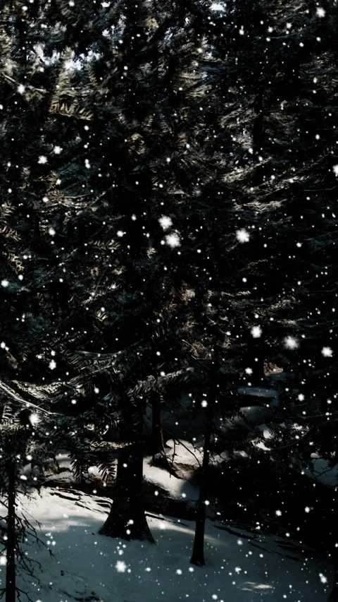 Snow falls on trees in a forest during winter in the late afternoon Stock Footage 341989101