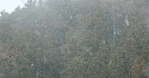 Snow falls in a valley with big fluffy flakes limiting visibility Video stock 108328575