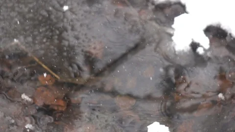 Snow falls into water. Stock Footage 98304603