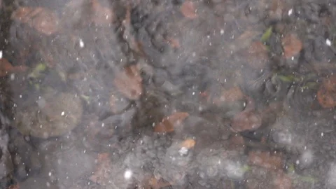 Snow falls into water. Stock Footage 98416299