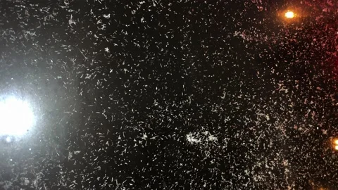 Snow falls on the windshield of the car, snowfall at night Stock Footage 239182396