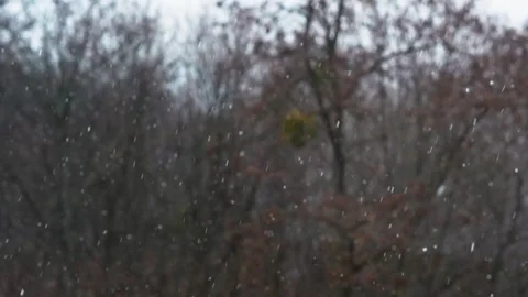 Snow falls. Winter landscape through the window in the house. Stock Footage 270566419