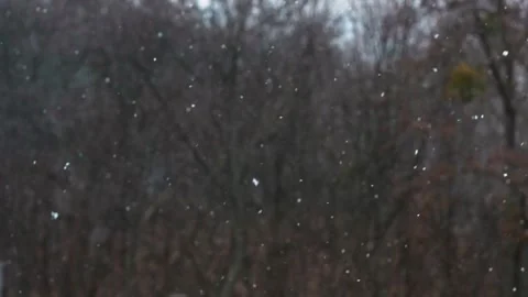 Snow falls. Winter landscape through the window in the house. Stock Footage 270566425
