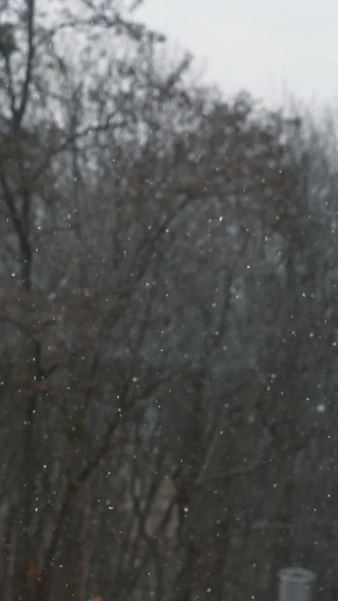 Snow falls. Winter landscape through the window in the house. Stock Footage 270783361