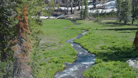 Snow fed mountain stream winding through lush green meadow Vidéo 260509686