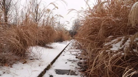 Snow fell on rusty railroad tracks in Seoul Children's Grand Park, South Korea 库存影片 147002811
