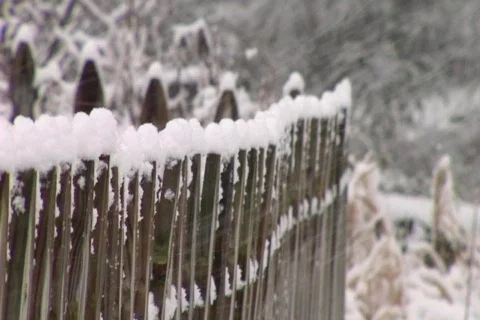 Snow on the fence Stockbeeldmateriaal 335094