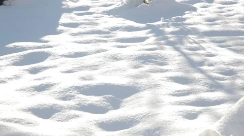 Snow field Alps Stock Footage 46127441