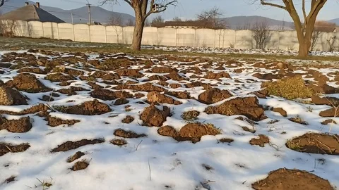Snow on the field Stock Footage 124428584