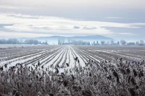 Snow field Foto stock