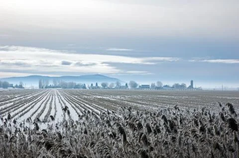 Snow field Stock Photos