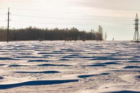 Snow field. Stock Photos