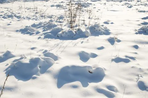 Snow field Foto stock