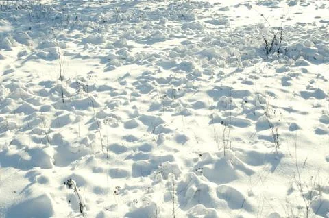 Snow field Stock Photos