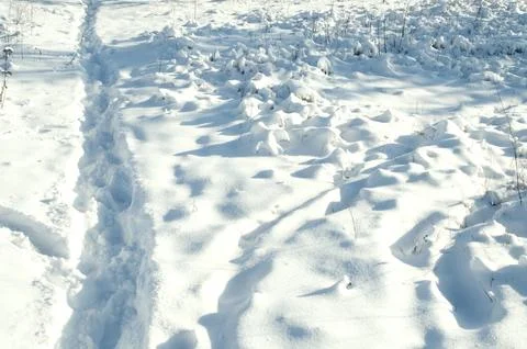 Snow field Stock Photos