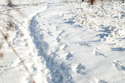 Snow field Stock Photos