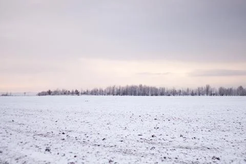 Snow Field Stock Photos