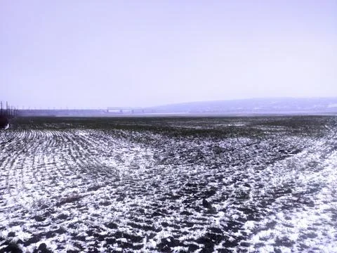 Snow field Fotos de archivo
