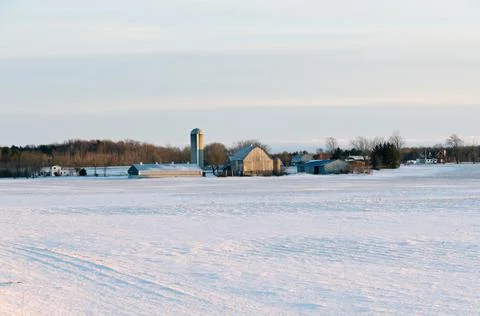 Snow field Stock Photos