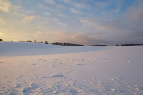 Snow field at sunset Stock Photos
