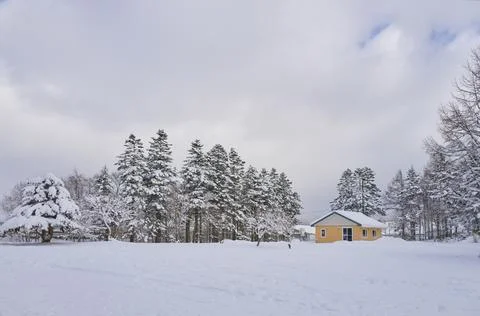 Snow fields with house on cloudy day Stock Photos