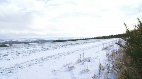 Snow fields1 Video stock 877352
