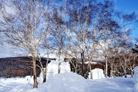 Snow figures Stock Photos