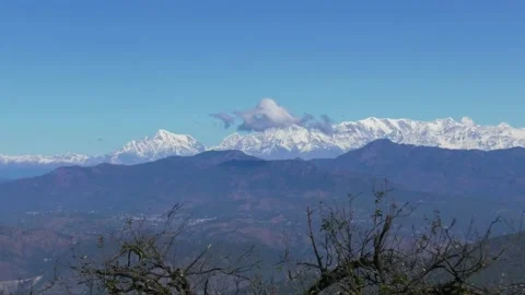 Snow filled himalaya video , tree video . 4k video . Stock Footage 168973431