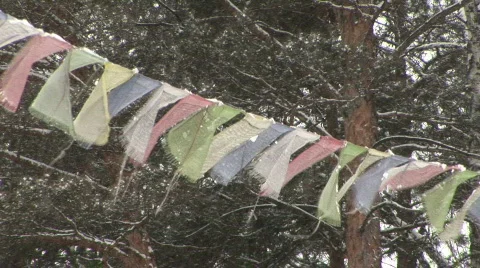 Snow &amp; flags 動画素材 797108