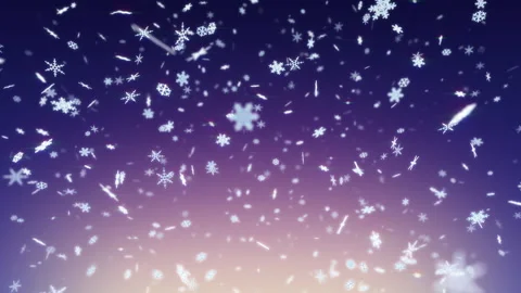 Snow Flake 22 BS3 Stock Footage 219005923