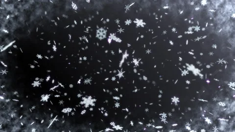 Snow Flake 22 DS3 Stock-Footage 219018501