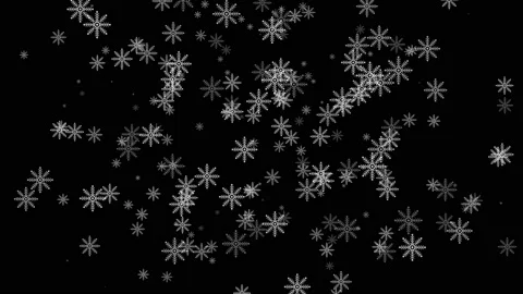 Snow flake on black background Stock Footage 222939410