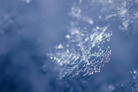 Snow Flake Close Up 3 Stock Photos