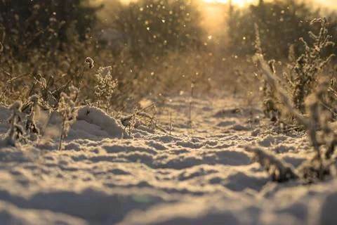 Snow Flake Flare 3 Stock Photos
