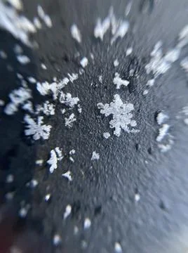 Snow flake Stock Photos